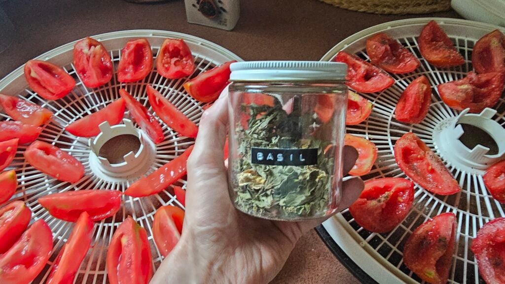 The Outdoor Apothecary Best Foods to Dehydrate: Storing