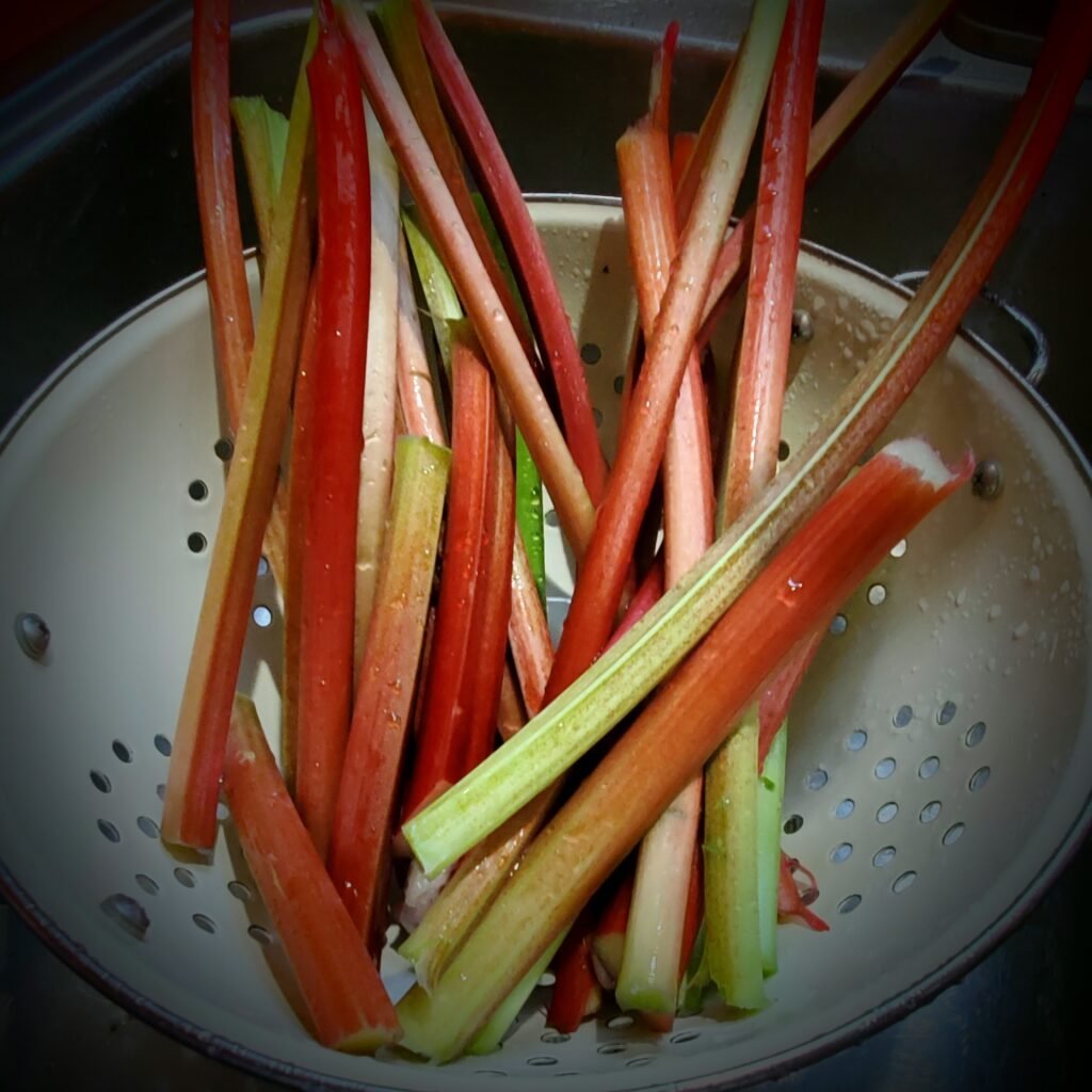prepping rhubarb for rhubarb pie filling