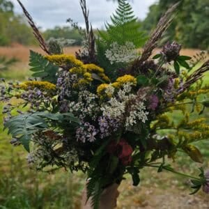 goldenrod folklore