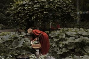 The Outdoor Apothecary lughnasadh ritual