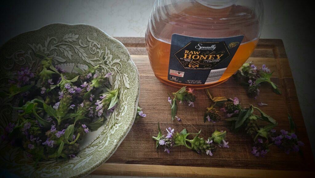 The Outdoor Apothecary self-heal oxymel