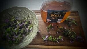 The Outdoor Apothecary self-heal oxymel