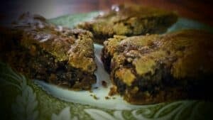 The Outdoor Apothecary hermit cookies