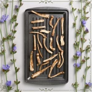 The Outdoor Apothecary chicory root medicine