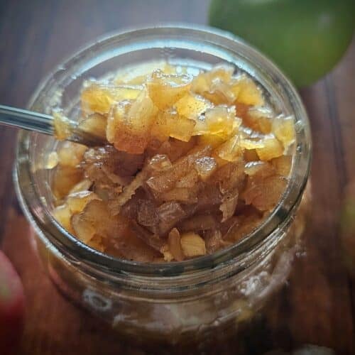 The Outdoor Apothecary apple and ginger chutney