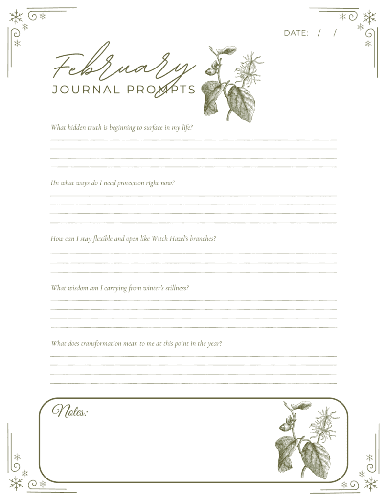 witch hazel folklore - February journal prompt