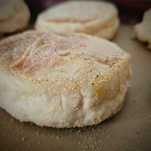 homemade English Muffins