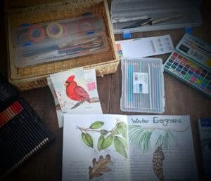 nature journal supplies
