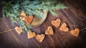 The Outdoor Apothecary homemade air dry clay