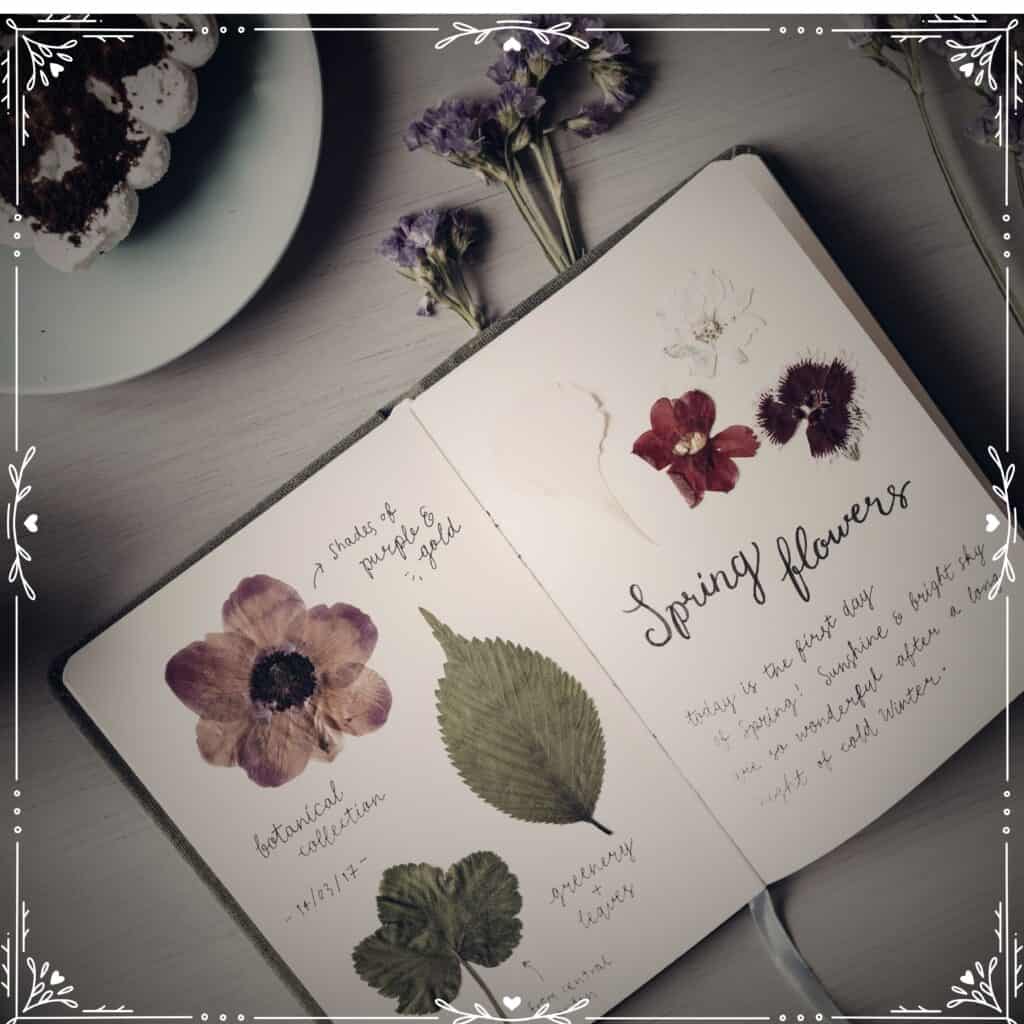 nature journal prompts