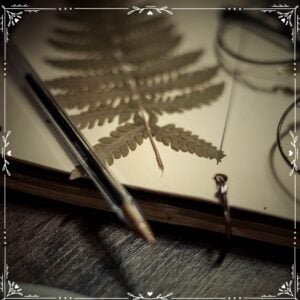 The Outdoor Apothecary nature journal prompts