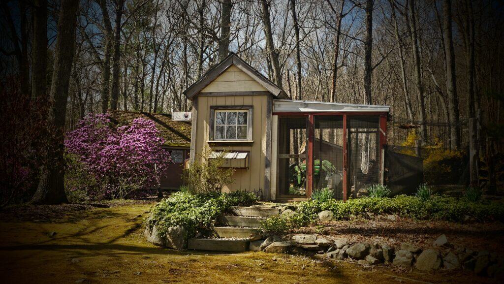 spring nature study
