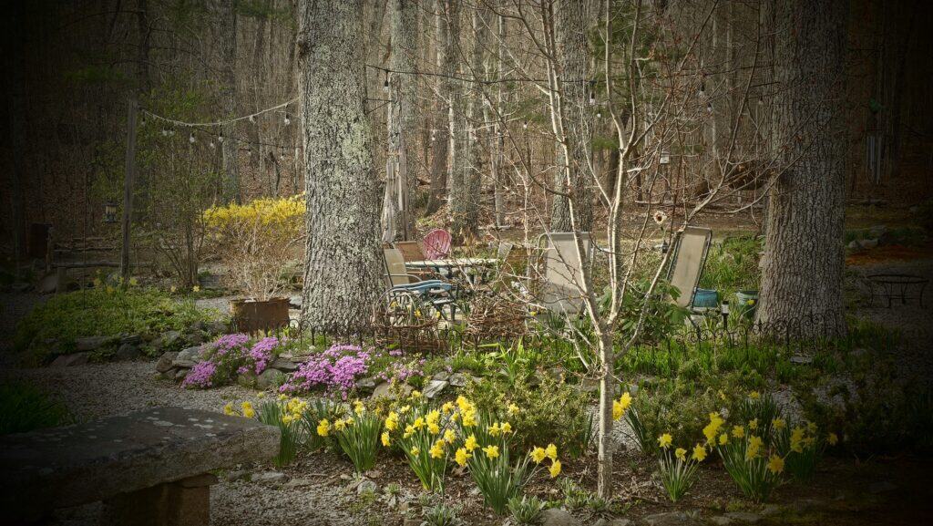 The Outdoor Apothecary spring nature study