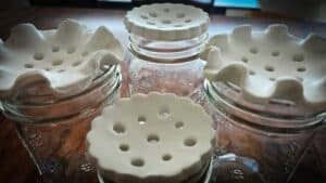 air dry clay flower frogs