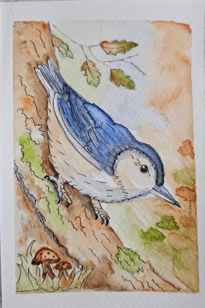 window strike bird rescue