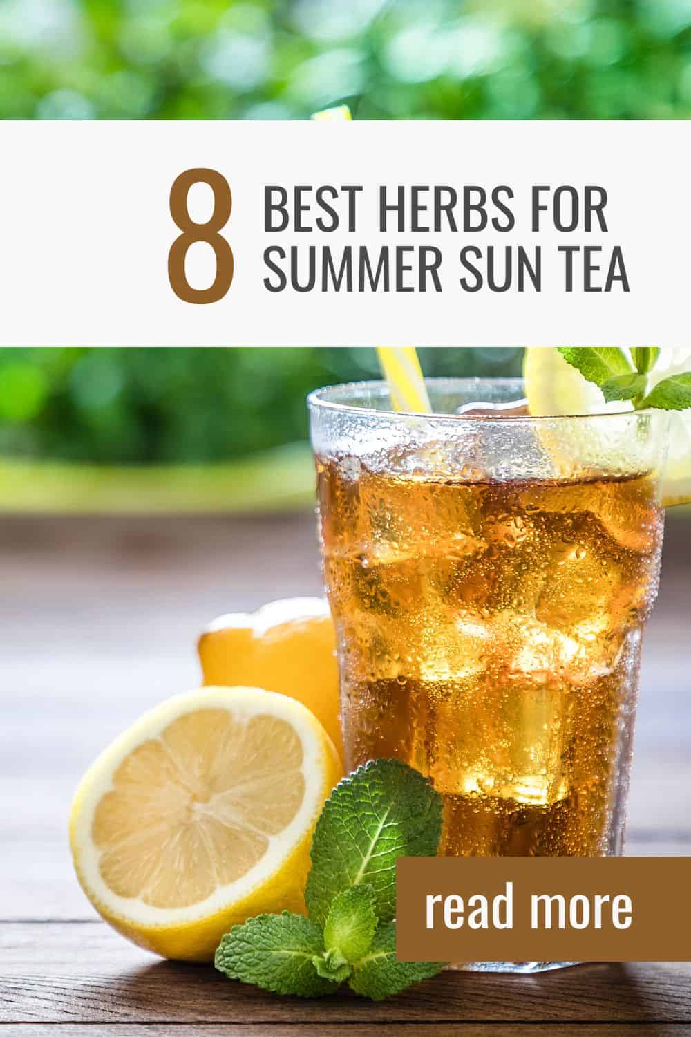 sun tea herbs