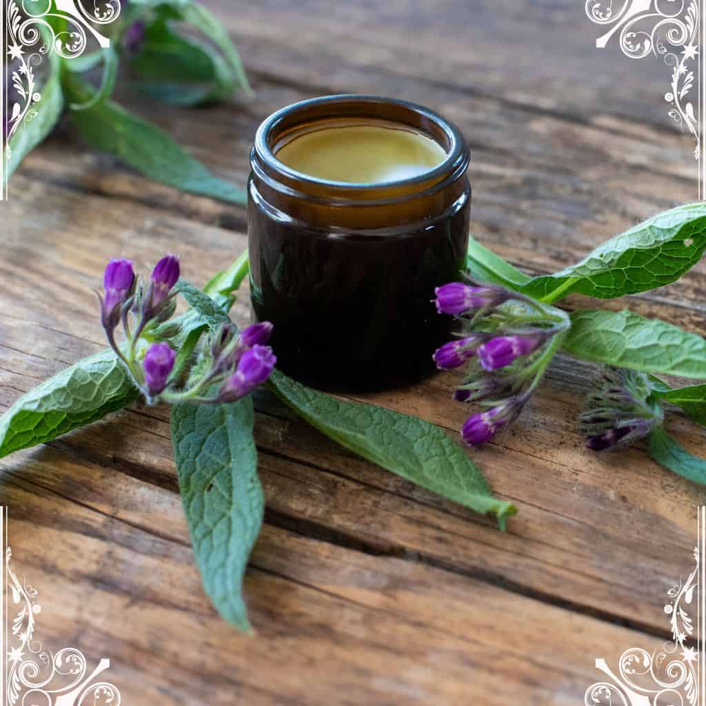 comfrey - herbs for skin