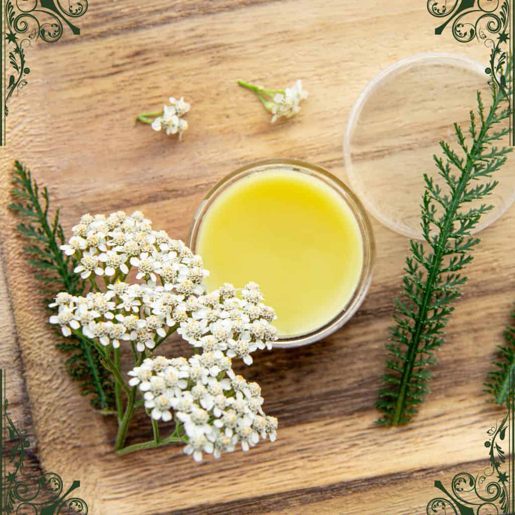 yarrow - herbs for skin