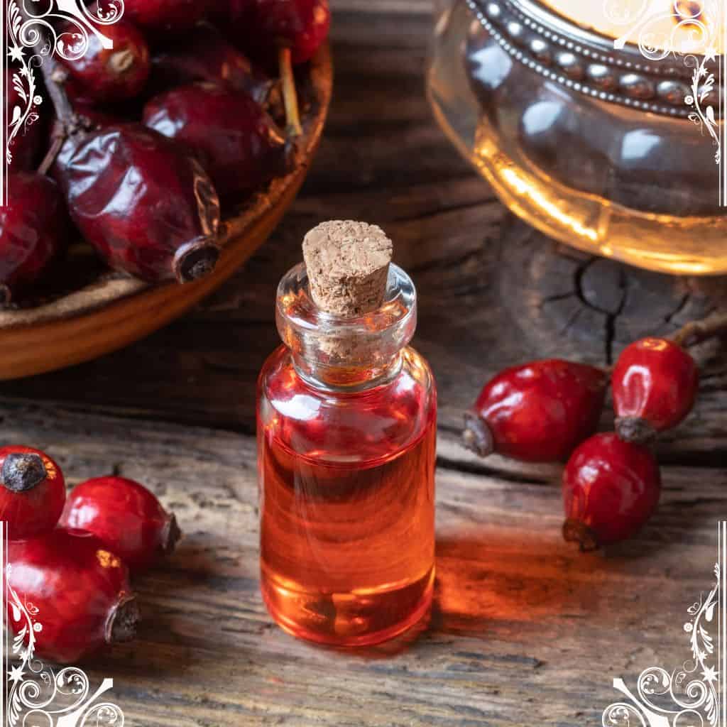 rose hip - herbs for skin