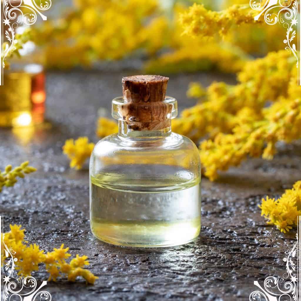 goldenrod - herbs for skin