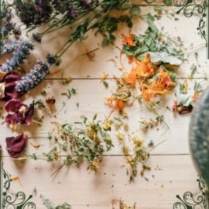 herbs for skin