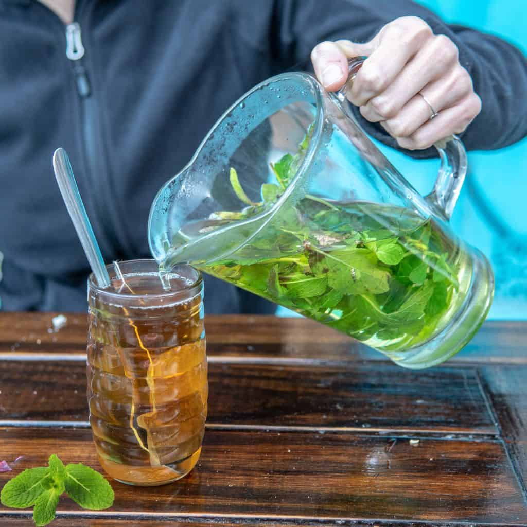 sun tea herbs