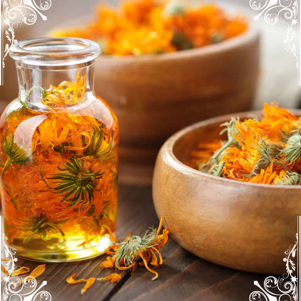 calendula - herbs for skin