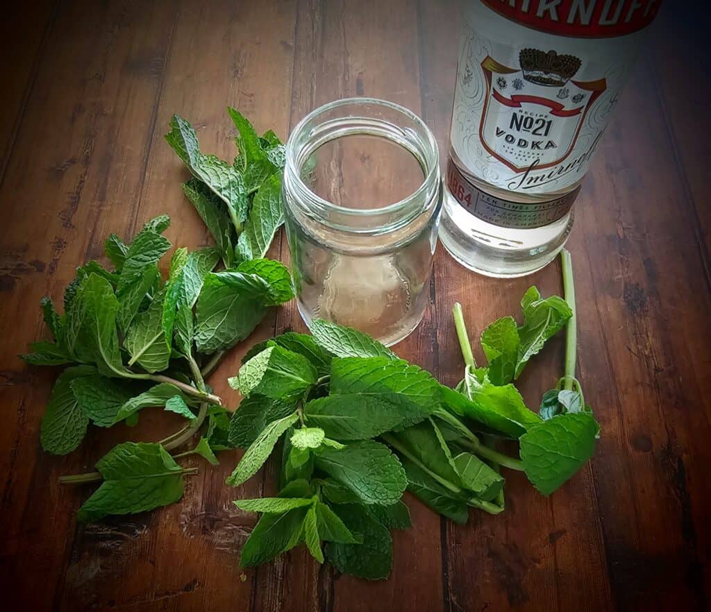 how to make extracts - mint extract
