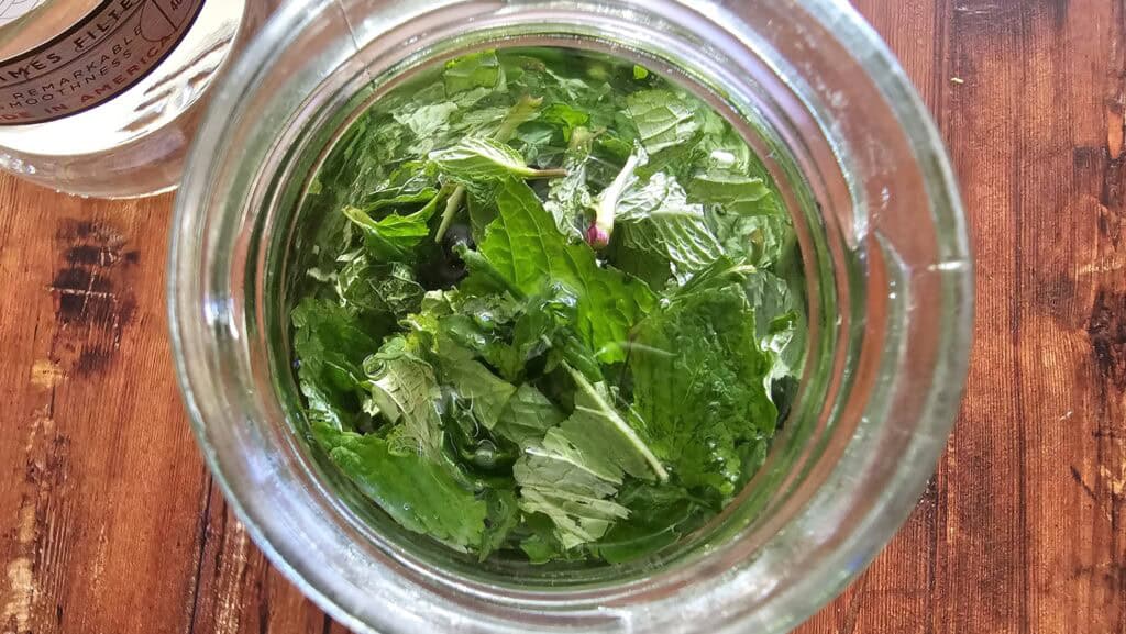 mint extract