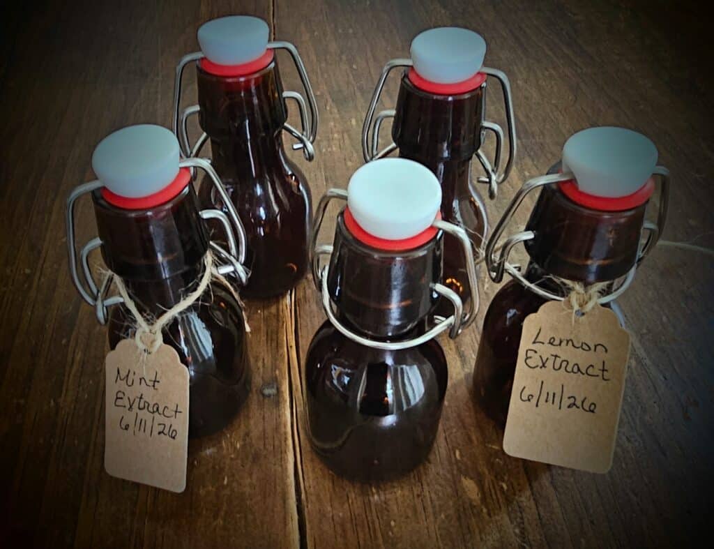 how to make extracts - mint extract