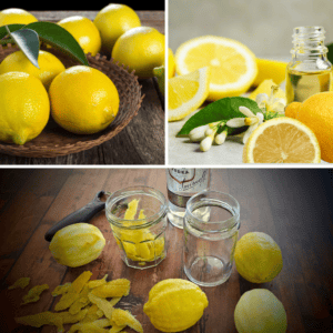 The Outdoor Apothecary how to make lemon extract