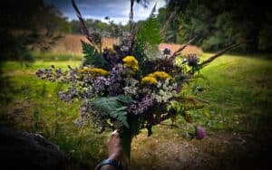 The Outdoor Apothecary September Nature Study