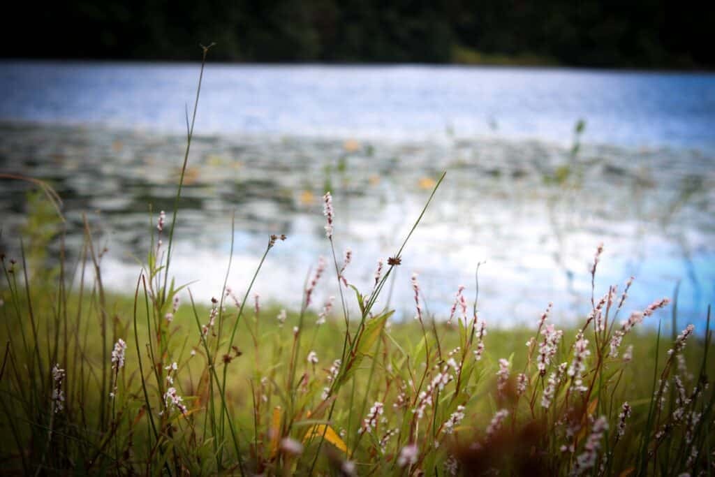 September Nature Study