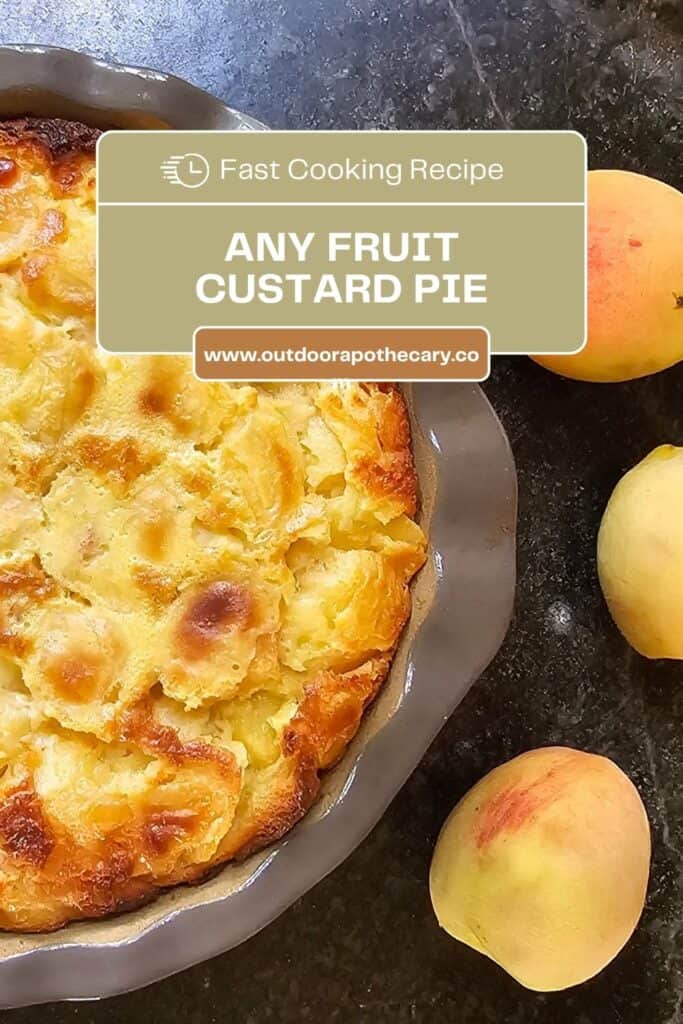 any fruit custard pie recipe