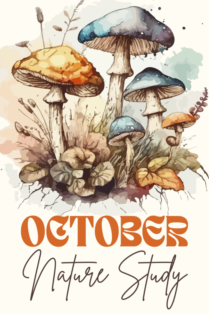 october nature study